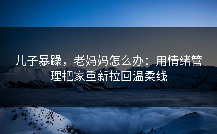 儿子暴躁,老妈妈怎么办:用情绪管理把家重新拉回温柔线 儿子暴躁,老妈妈怎么办:用情绪管理把家重新拉回温柔线
